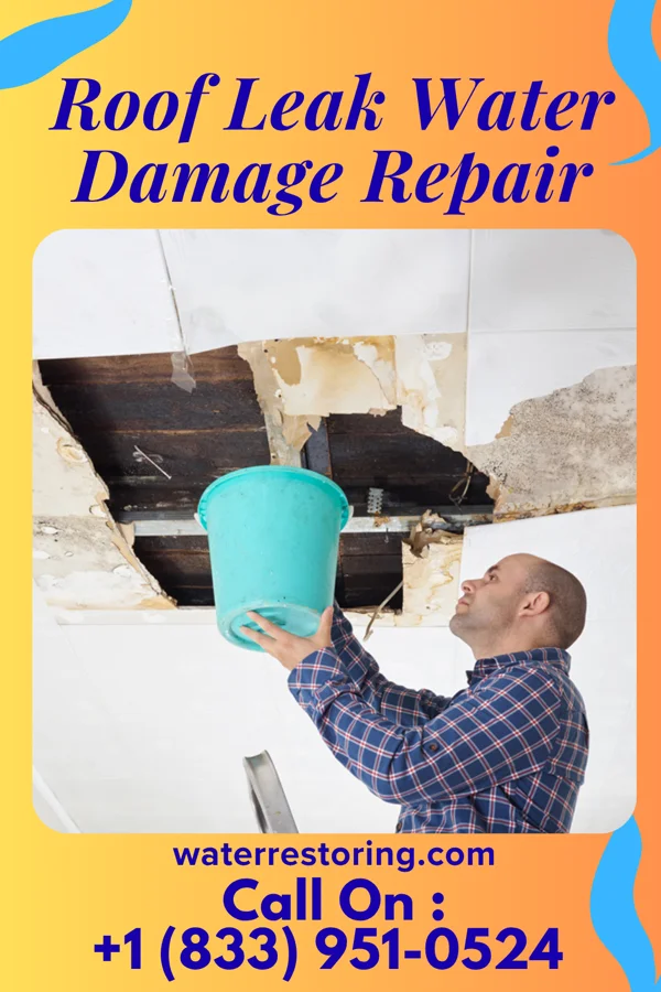 Roof Leak Water Damage Repair in Joliet, MT